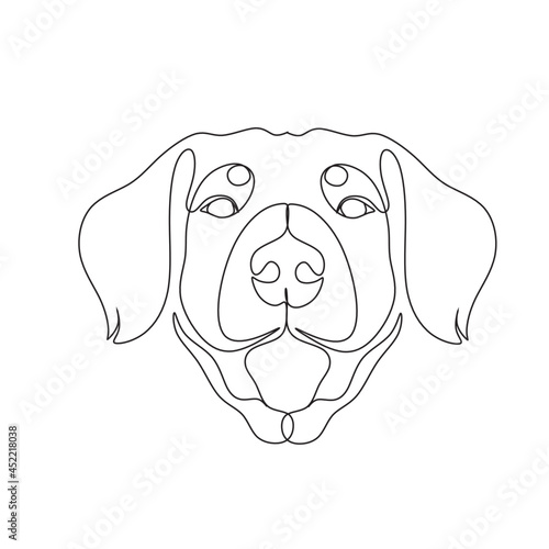 Dog with a brush line