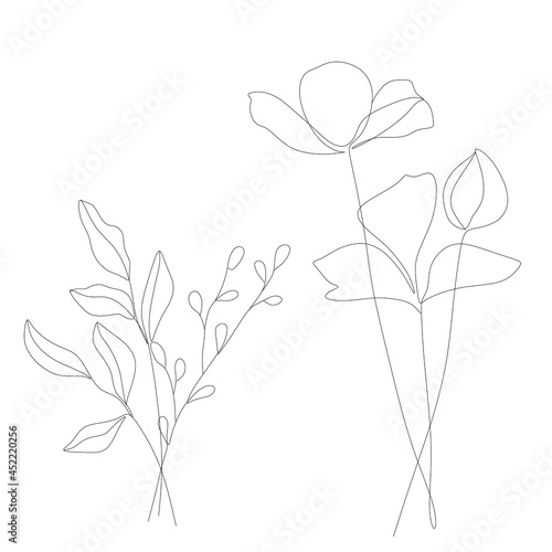 Abstract plant one line drawing. Hand drawn modern minimalistic design for creative logo  icon or emblem.