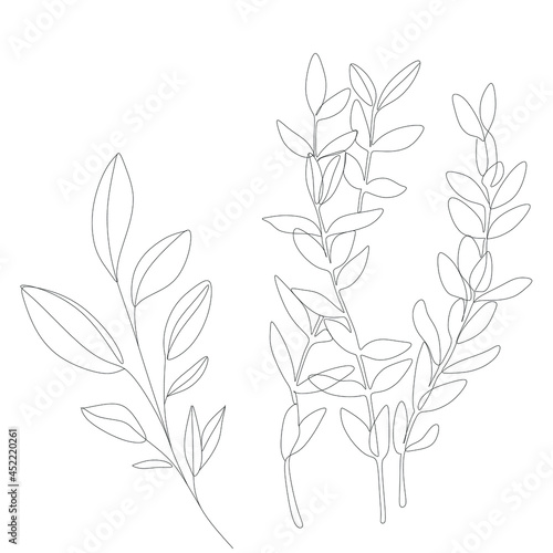 Abstract plant one line drawing. Hand drawn modern minimalistic design for creative logo, icon or emblem.