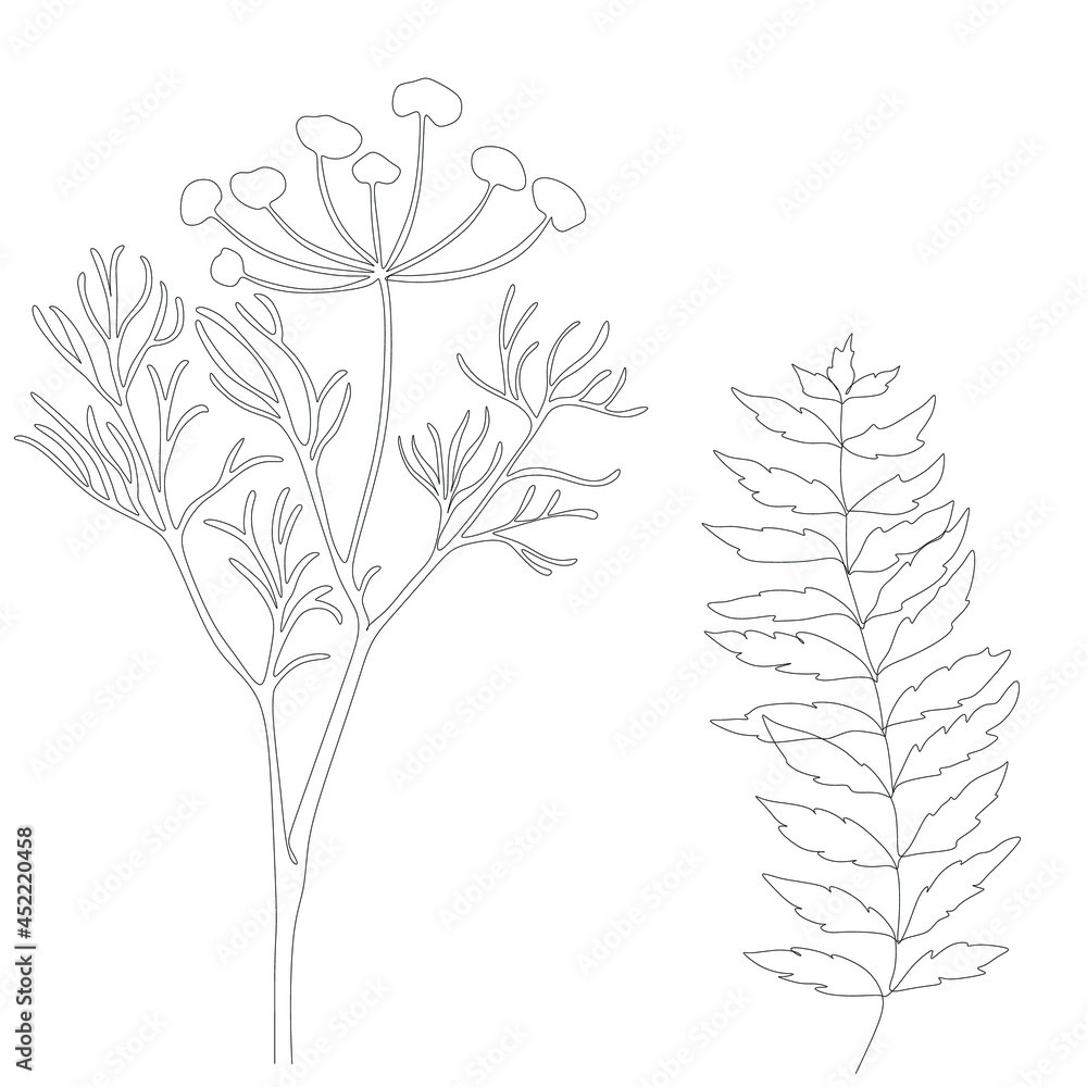 Abstract plant one line drawing. Hand drawn modern minimalistic design for creative logo, icon or emblem.