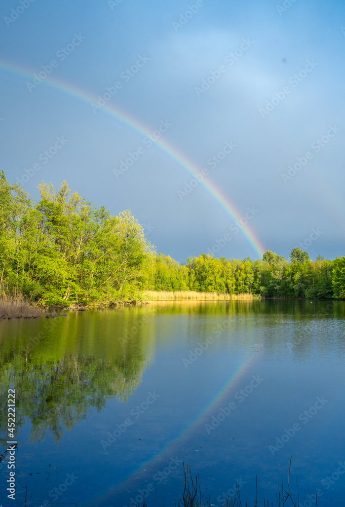 Summer forest with beautiful Rainbow 9 Summer forest with beautiful Rainbow 9