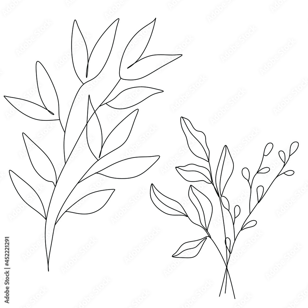 Fototapeta premium Flowers and plants line