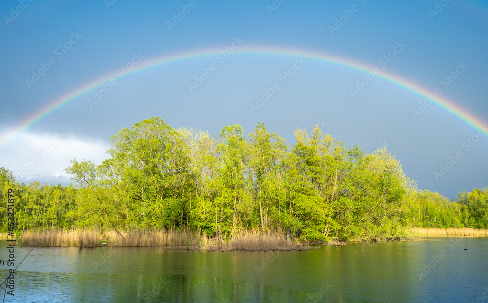Summer forest with beautiful Rainbow 6 Summer forest with beautiful Rainbow 6