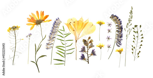 Wild dried meadow flowers on white background, top view