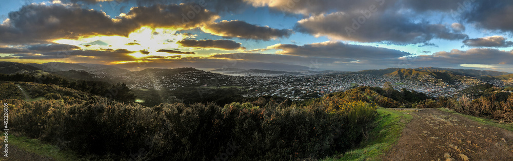 Panorama of Wellington, NZ, at sunrise
