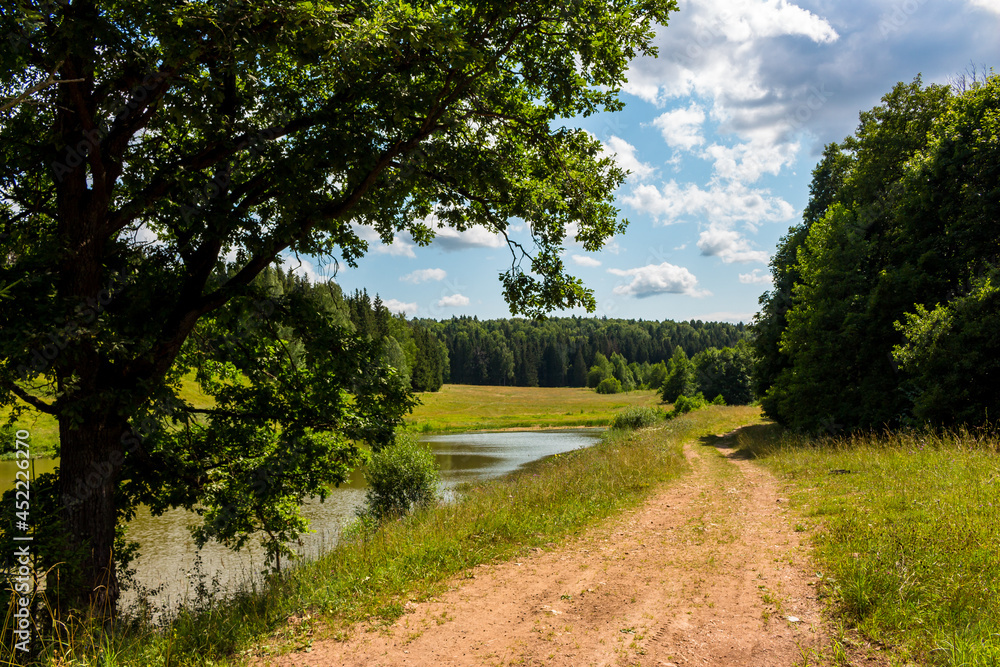 Beautiful nature in the wild. Country road by the reservoir on a summer day