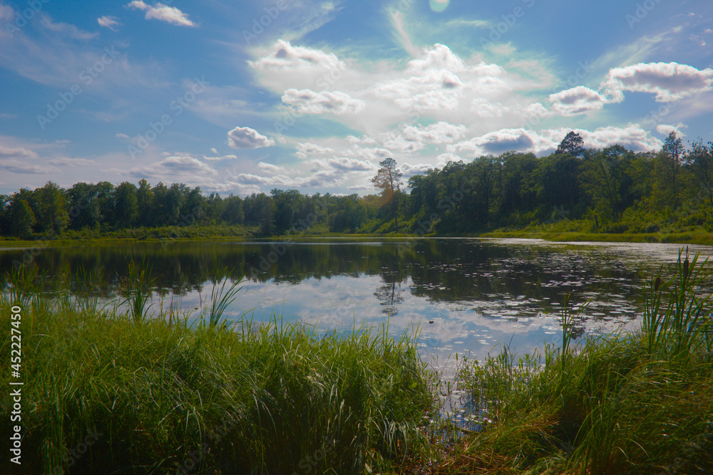 Obraz premium lake in the forest