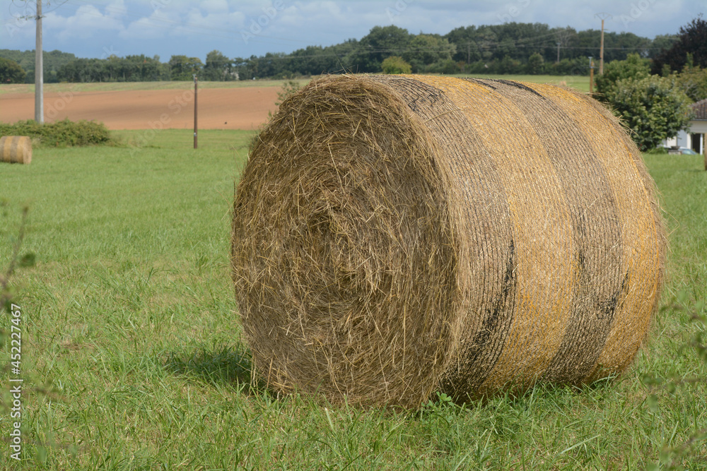 Grosse balle de paille ronde sur un champ. Grosse balle de paille ronde sur un champ.