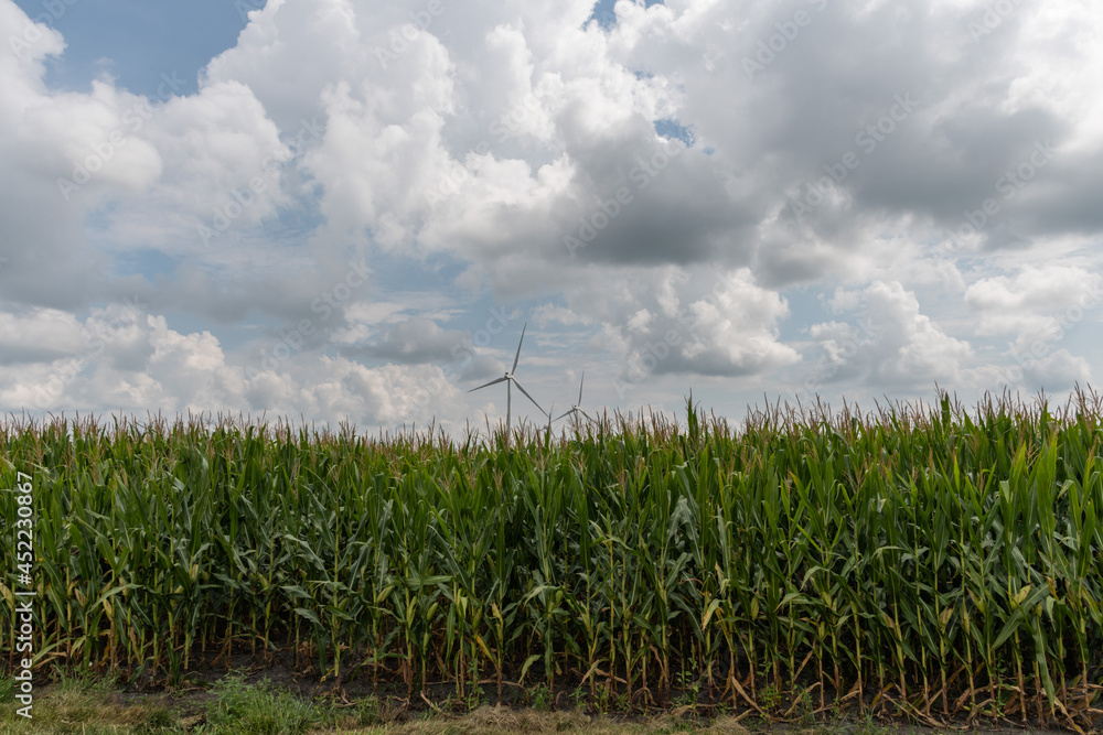 Fototapeta premium Modern rural Indiana, agriculture and green energy combined