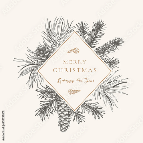 Botanical vector illustration with fir and pine branches and cones. Black and White.