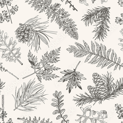 Seamless Christmas pattern with fir and pine branches, cones, fern and leaves. Black and White.