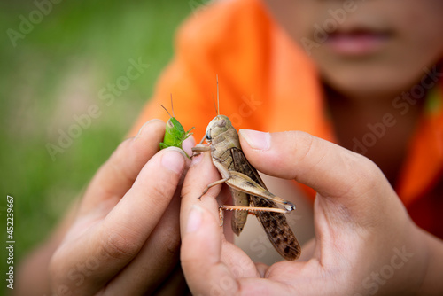 It is a grasshopper captured by a boy.