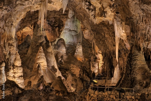Photos At the Entrance to the Hall of Giants.