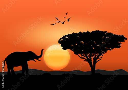 silhouette image Black elephant with walking at the forest with mountain and sunset background Evening light vector Illustration