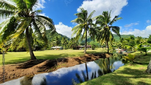 Fototapeta Naklejka Na Ścianę i Meble -  Visage de Teahupoo sur Tahiti