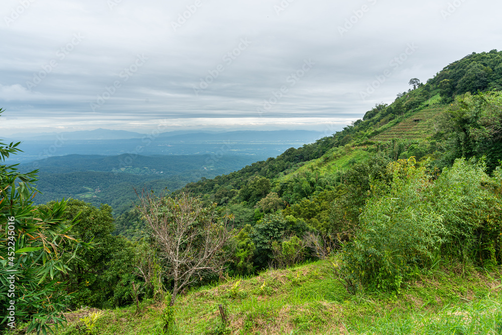 Beautiful rain forest mountain, Doi Suthep, Chiang Mai, Thailand