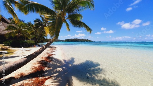 plage de moorea, polynesie française