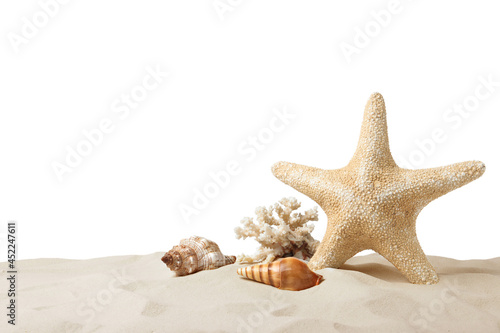 Beautiful sea star, coral and seashells in sand on white background