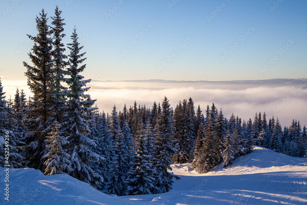 Frozen snow-covered forest and blue sky and clouds at Kvitfjell Ski Resort