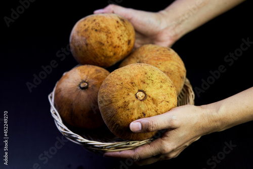 close-up human hands holding ripe santol fruit on wicker basket