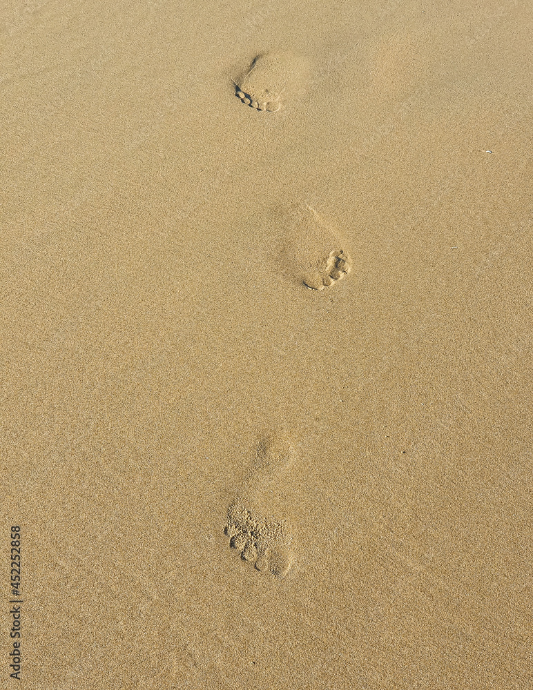 Footprints left in the sand on the beach, by a person Footprints left in the sand on the beach, by a person