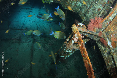 Inside the Glen Nusa II Shipwreck with surrounding fish on Gili Island Lombok, Indonesia