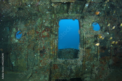 window and door surrounding fish Inside the Glen Nusa Shipwreck on Lombok Indonesia 