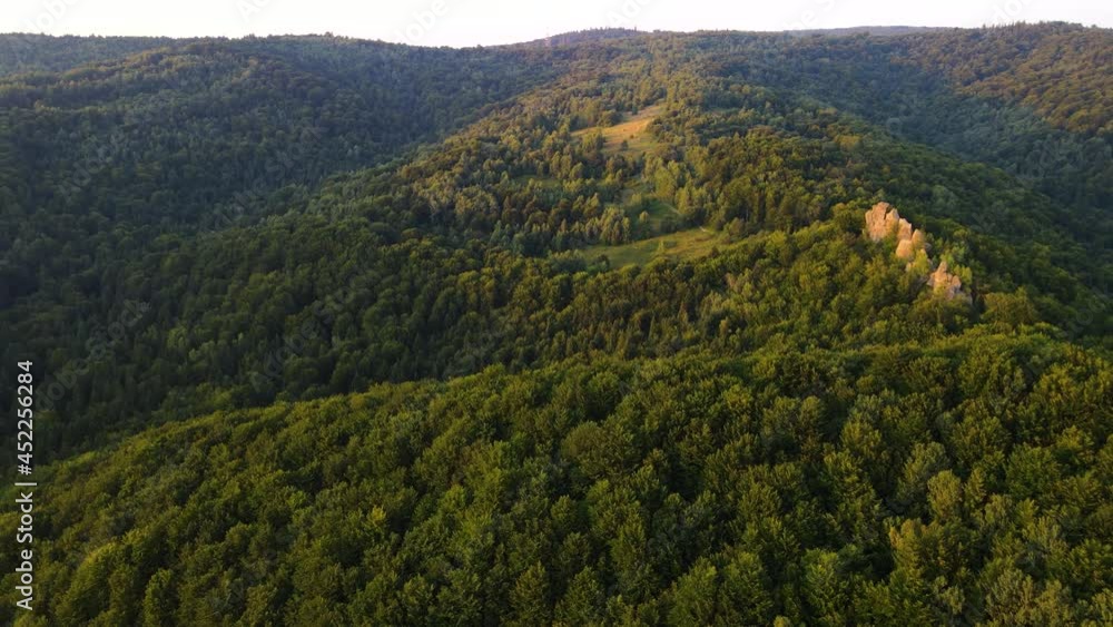 Aerial Drone View Flight over pine tree forest in Mountain at sunset Aerial Drone View Flight over pine tree forest in Mountain at sunset