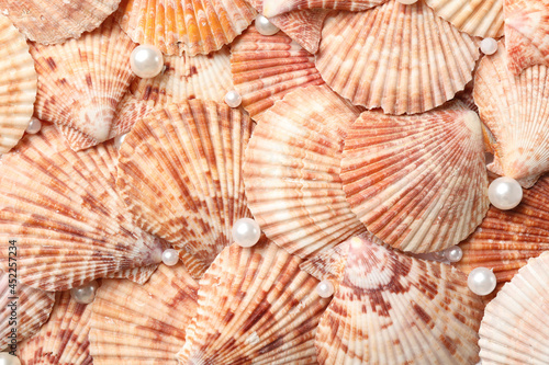 Beautiful pearls and seashells as background, closeup