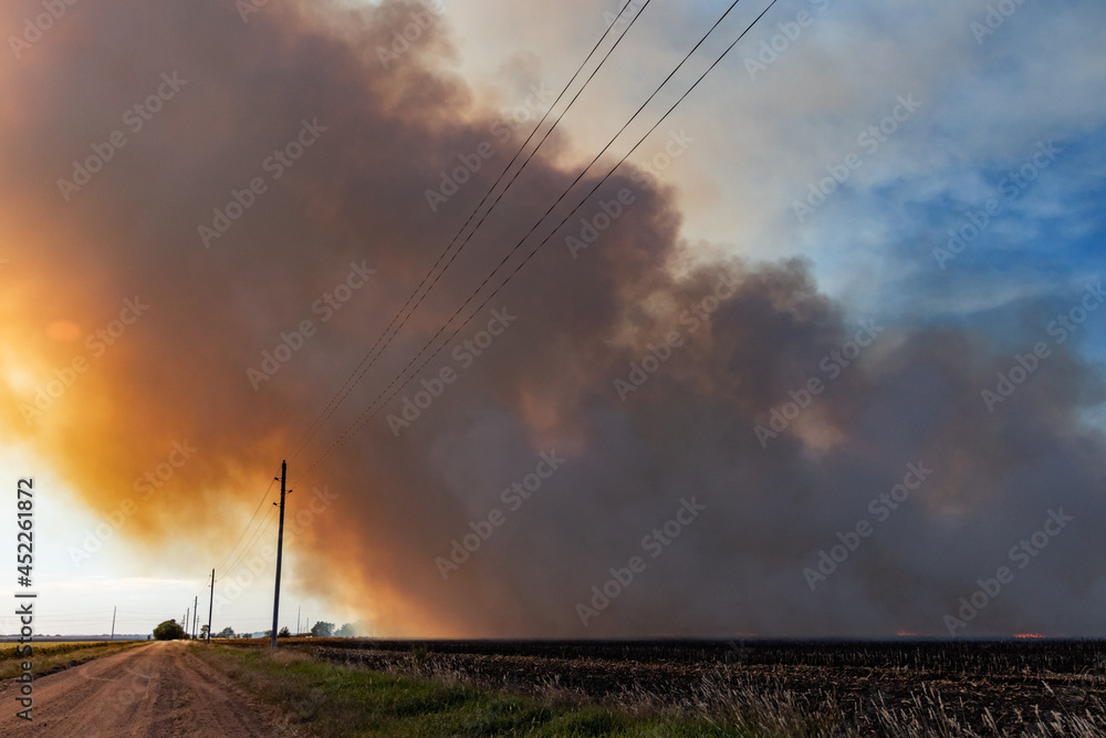 A wide angle shot of an agricultural field burning with smoke filling the sky behind telephone wires and poles and a rural dirt road, burning field