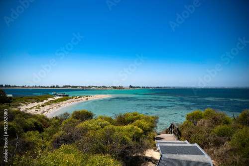 Australia Penguin Island オーストラリア　ペンギン島