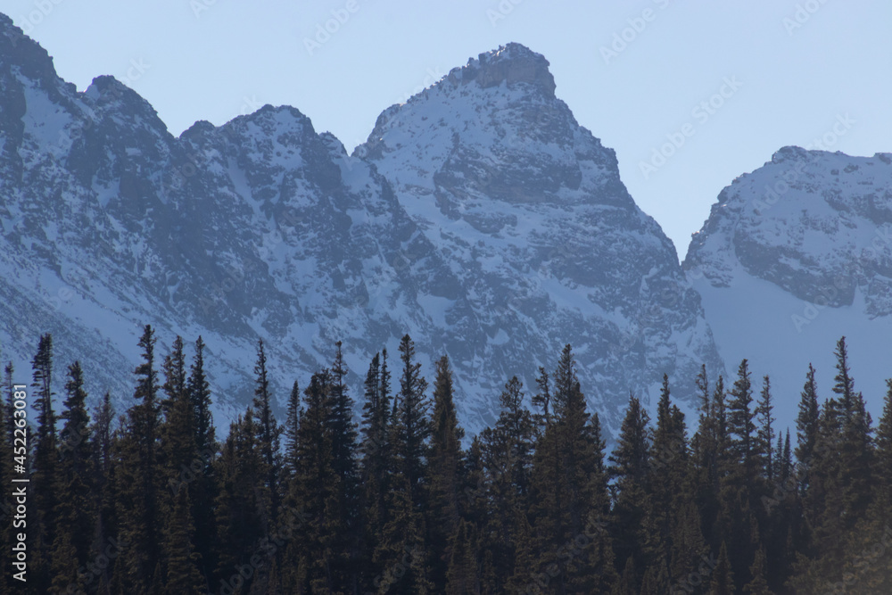 A wide angle landscape shot of dramatic, snowy mountain peaks covered in snow with pine trees, an outdoor winter background