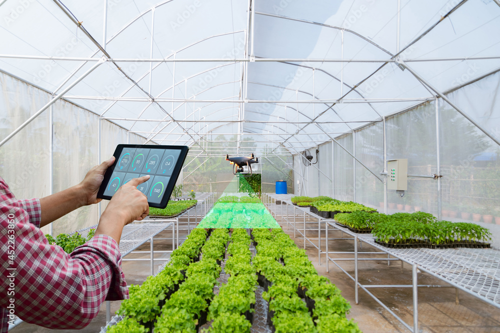 A farmer gardener holds a tablet to inspect agricultural produce unmanned aerial vehicle