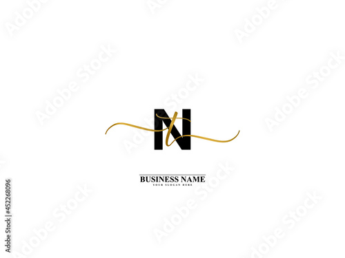 Letter NT Logo, creative nt tn signature logo for wedding, fashion, apparel and clothing brand or any business photo