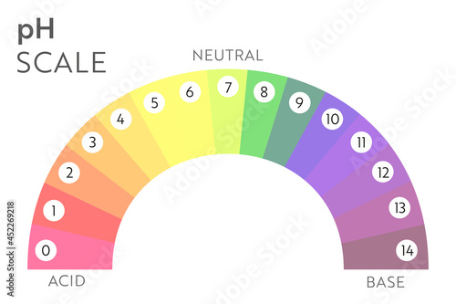 pH Value scale chart. Acid-base balance infographic. Education Poster