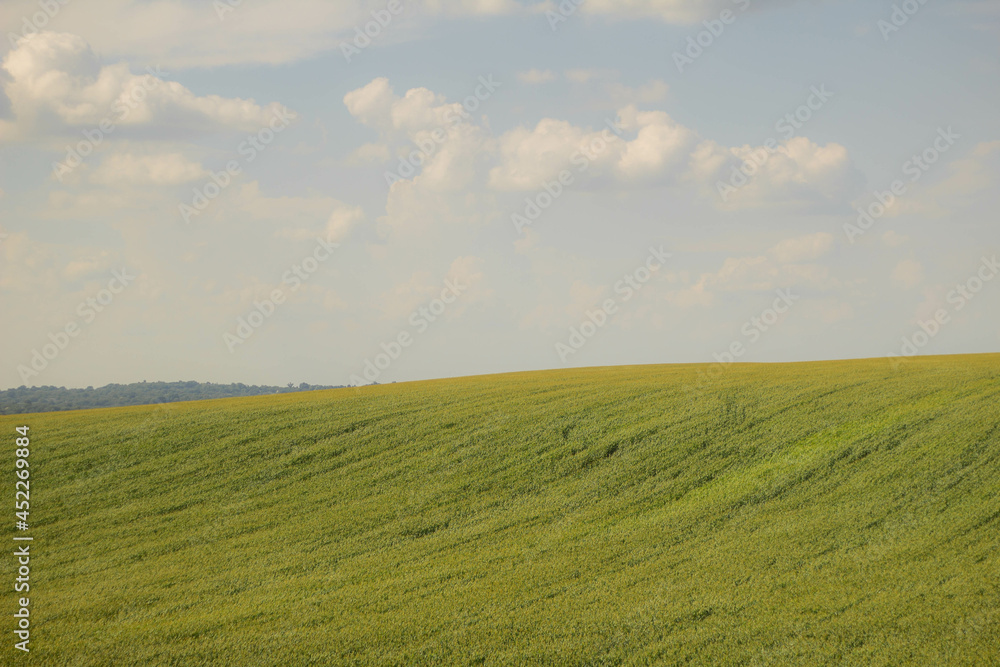 field and blue sky