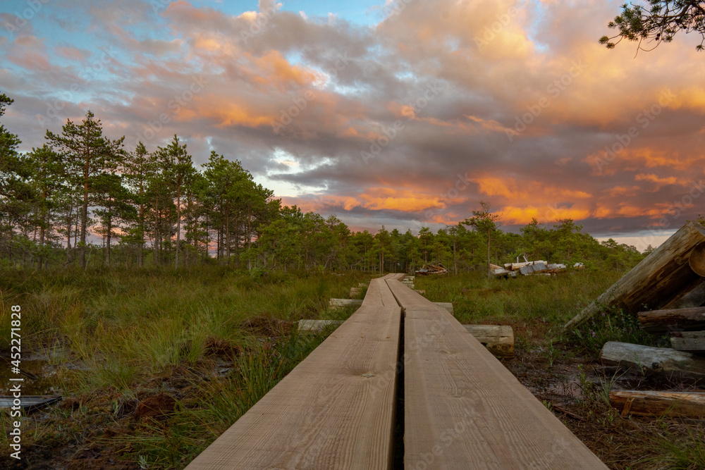 footbridge on the peat bog