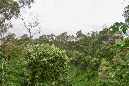 Rainforest Sanya China. Jungle and stone structures.