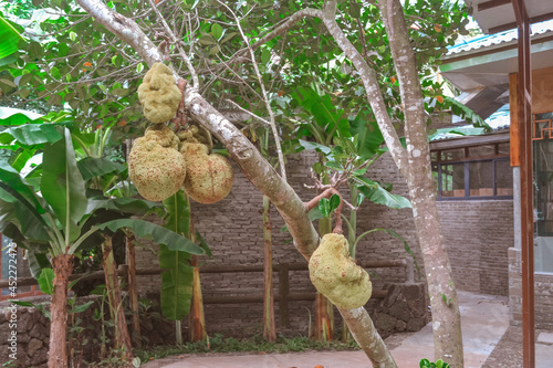 China Volcano Park Hainan island 