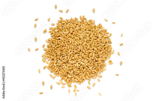 Group of dry organic wheat seed pile on white background.  For clean food ingredient or agricultural product concept