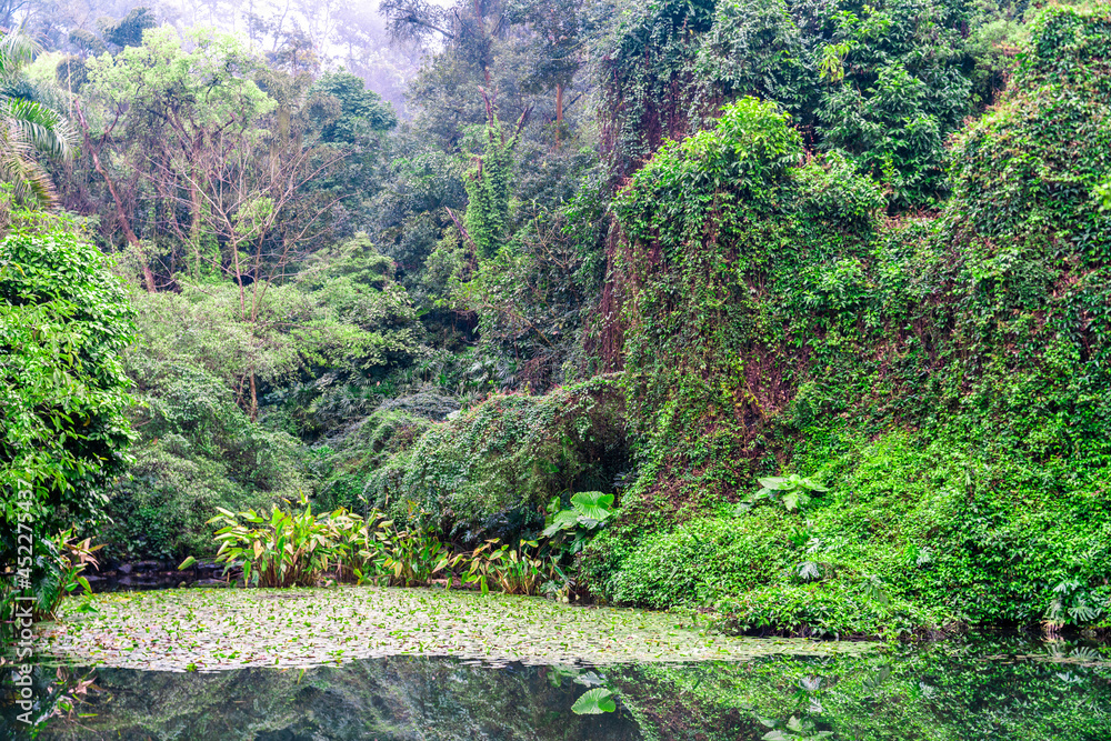 Naklejka premium Lake in Qingxiu Mountain, Nanning city, Guangxi Province, China