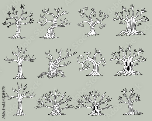 木の線画イラスト