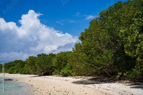 beach with blue sky