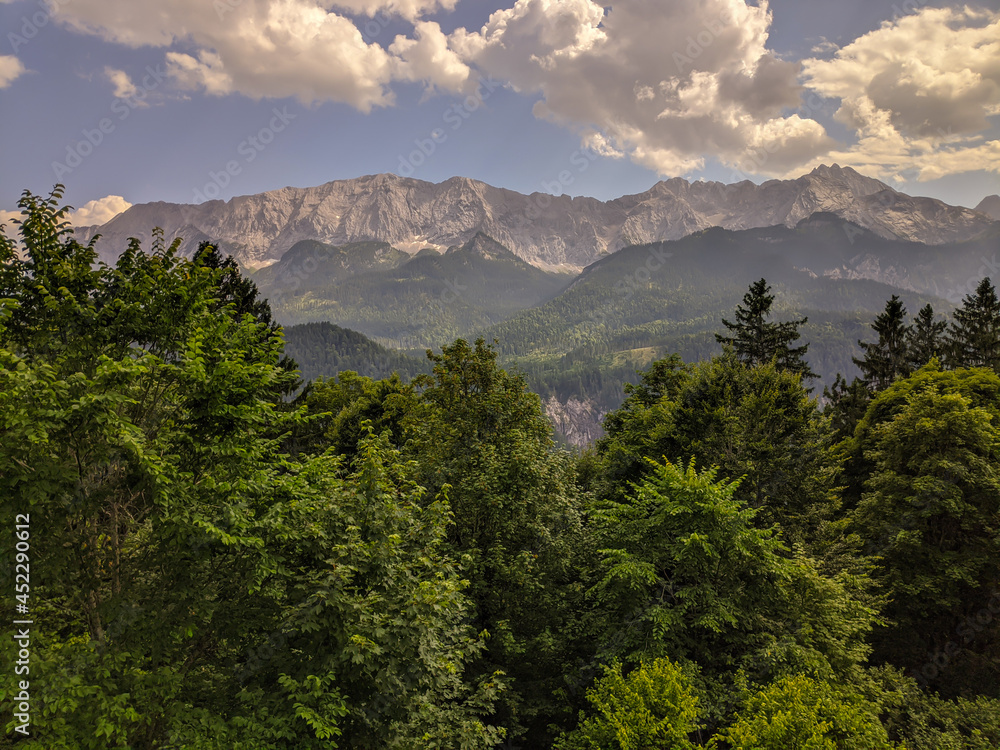 Fototapeta premium Wald mit hohen Bergen im Hintergrund 
