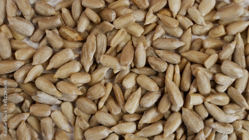 sunflower seeds background sunflower seeds background