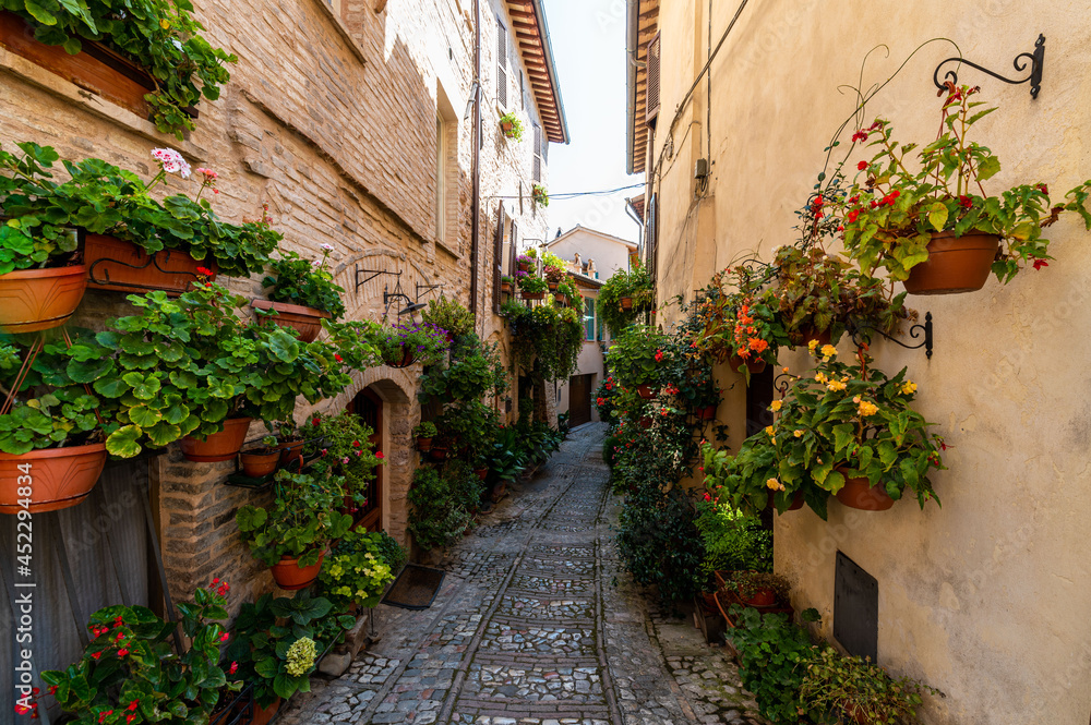 alley with flowers in the town of Spello