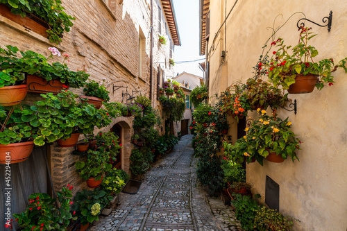 alley with flowers in the town of Spello © Federico