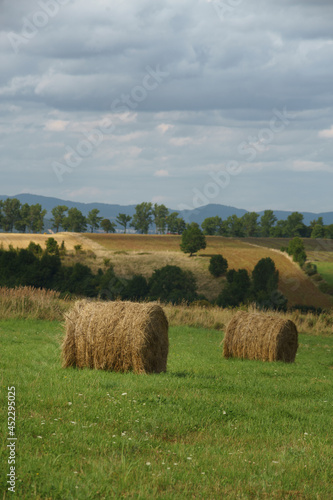 hay bales in the field