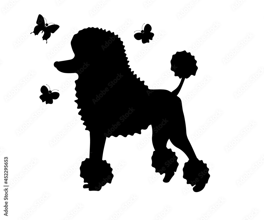 silhouette of a poodle with butterflies