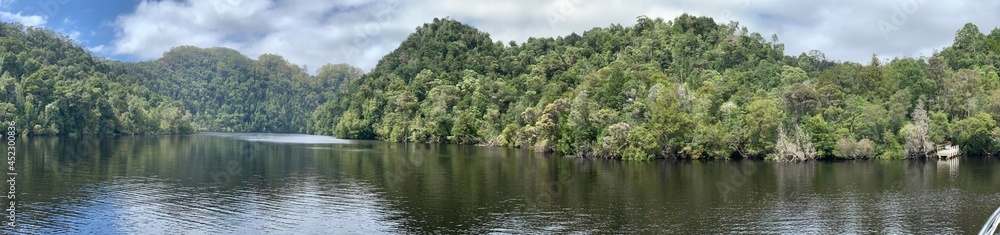 View up the Gordon River Tasmania Australia. Huon pine. Historic, untouched landscape. No people View up the Gordon River Tasmania Australia. Huon pine. Historic, untouched landscape. No people